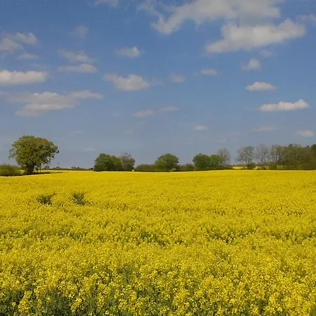 Holiday home Schleiblick